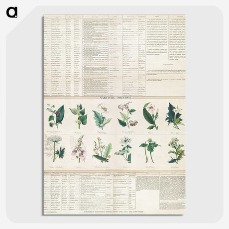 1-15_Education-Charts_picture-crop
