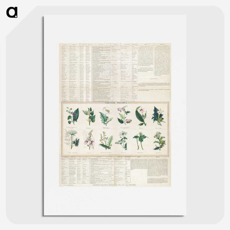 1-15_Education-Charts_picture