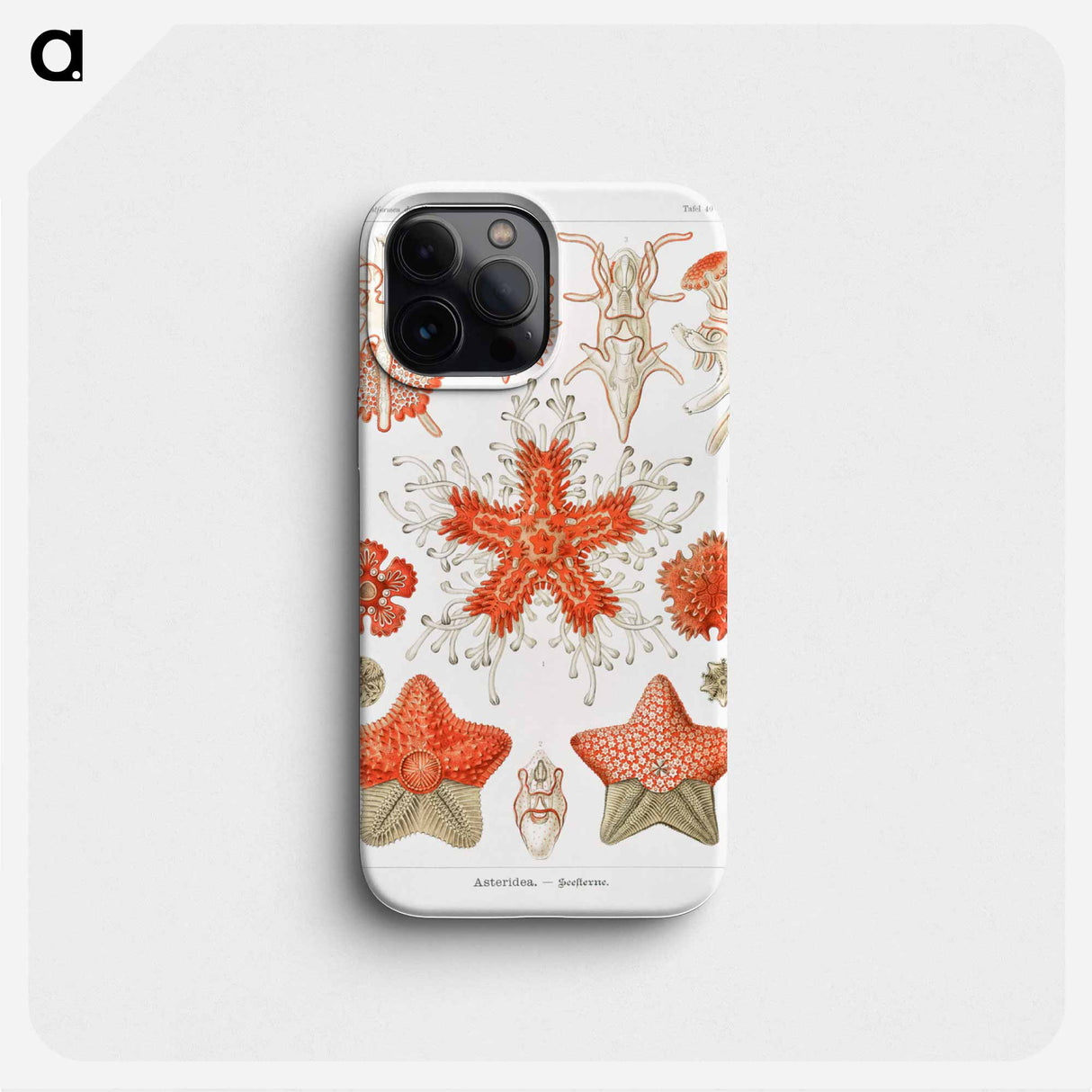 Asteridea–Seesterne from Kunstformen der Natur - エルンスト ヘッケル Phone Case.