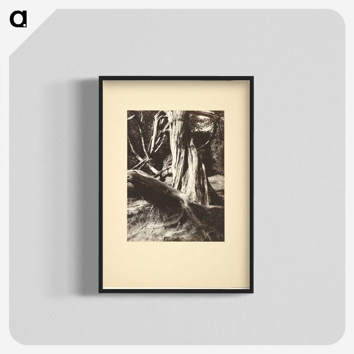 1-15_Eugene-Atget_blk-crop