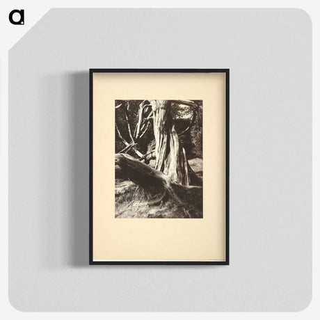 1-15_Eugene-Atget_blk-crop