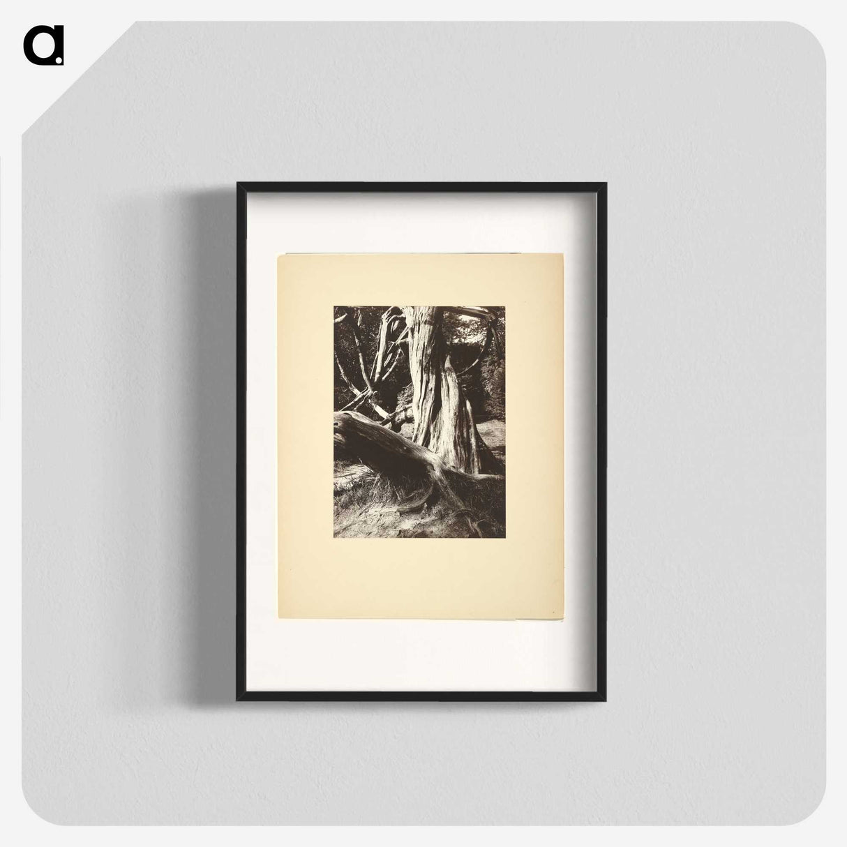 1-15_Eugene-Atget_blk