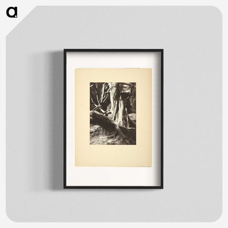 1-15_Eugene-Atget_blk