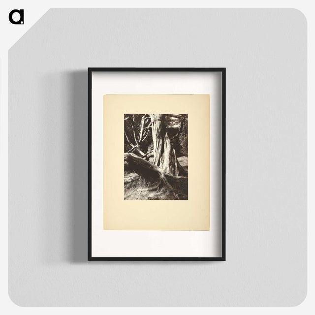 1-15_Eugene-Atget_blk
