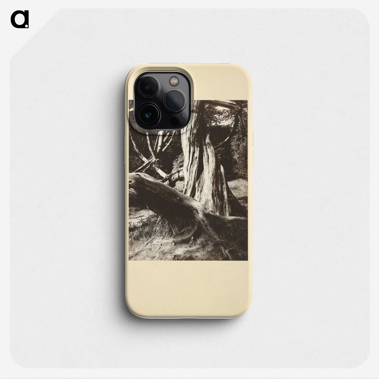 1-15_Eugene-Atget_phone