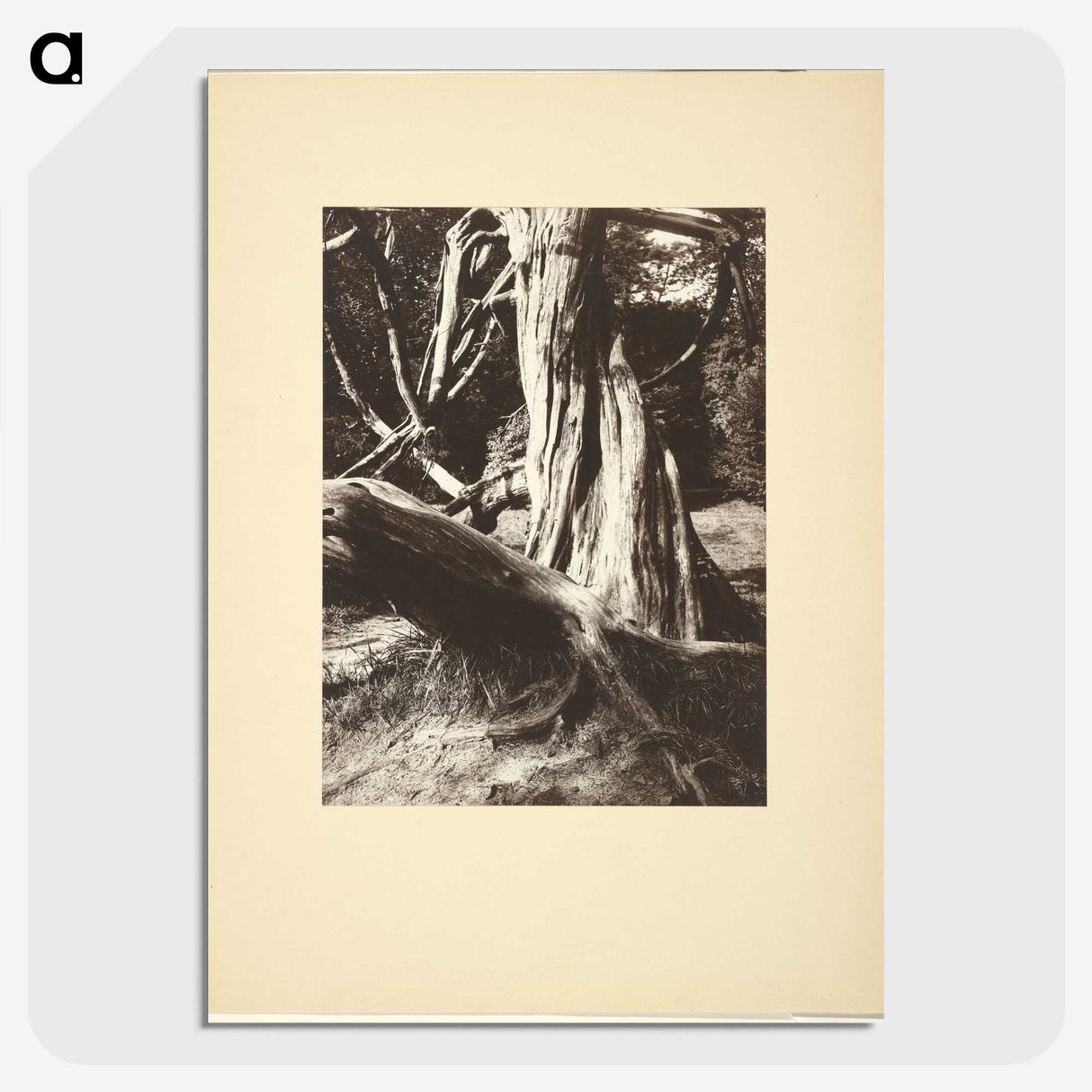 1-15_Eugene-Atget_picture-crop