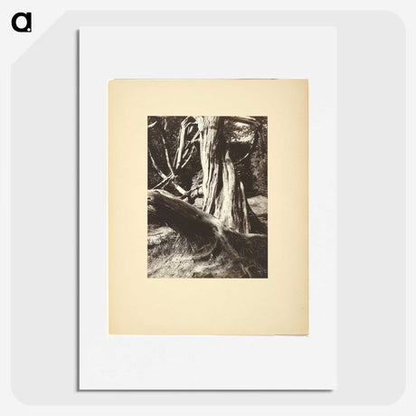 1-15_Eugene-Atget_picture
