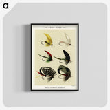 1-15_Favorite-Flies-and-Their-History_blk-crop