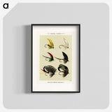 1-15_Favorite-Flies-and-Their-History_blk