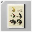 1-15_Favorite-Flies-and-Their-History_canvas