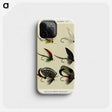 1-15_Favorite-Flies-and-Their-History_phone