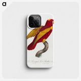 1-15_Francois-Levaillant_phone