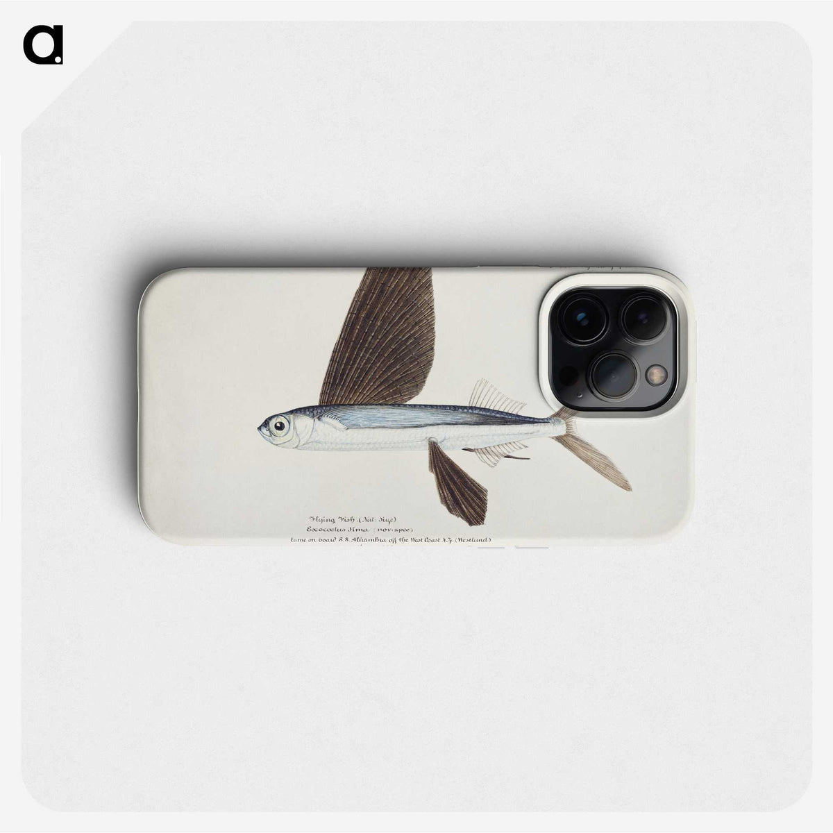 1-15_Frank-Edward-Clarke_phone