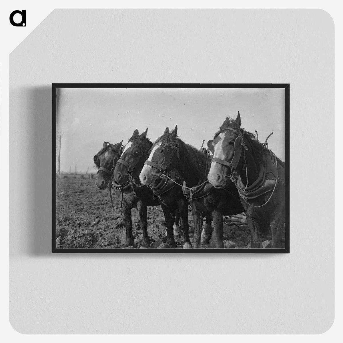 1-15_Frederick-Charles-Brockett_blk-crop