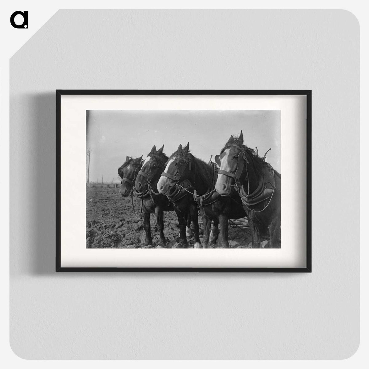 1-15_Frederick-Charles-Brockett_blk