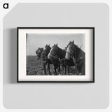 1-15_Frederick-Charles-Brockett_blk