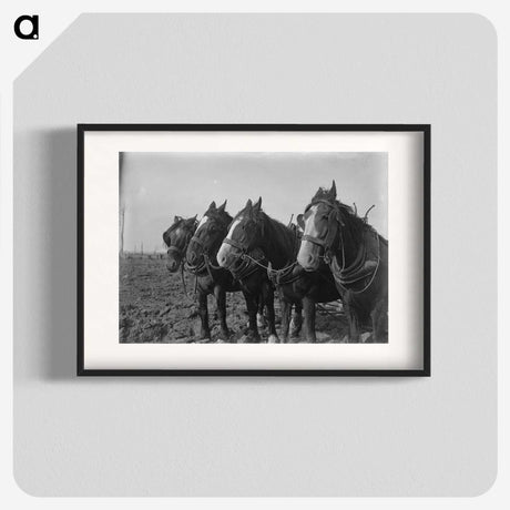 1-15_Frederick-Charles-Brockett_blk