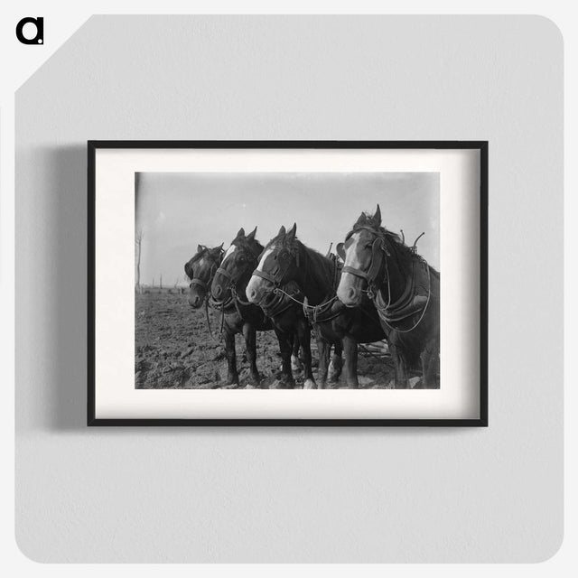 1-15_Frederick-Charles-Brockett_blk