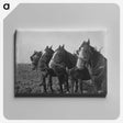 1-15_Frederick-Charles-Brockett_canvas