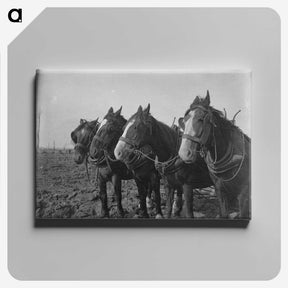 1-15_Frederick-Charles-Brockett_canvas