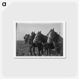 1-15_Frederick-Charles-Brockett_hagaki