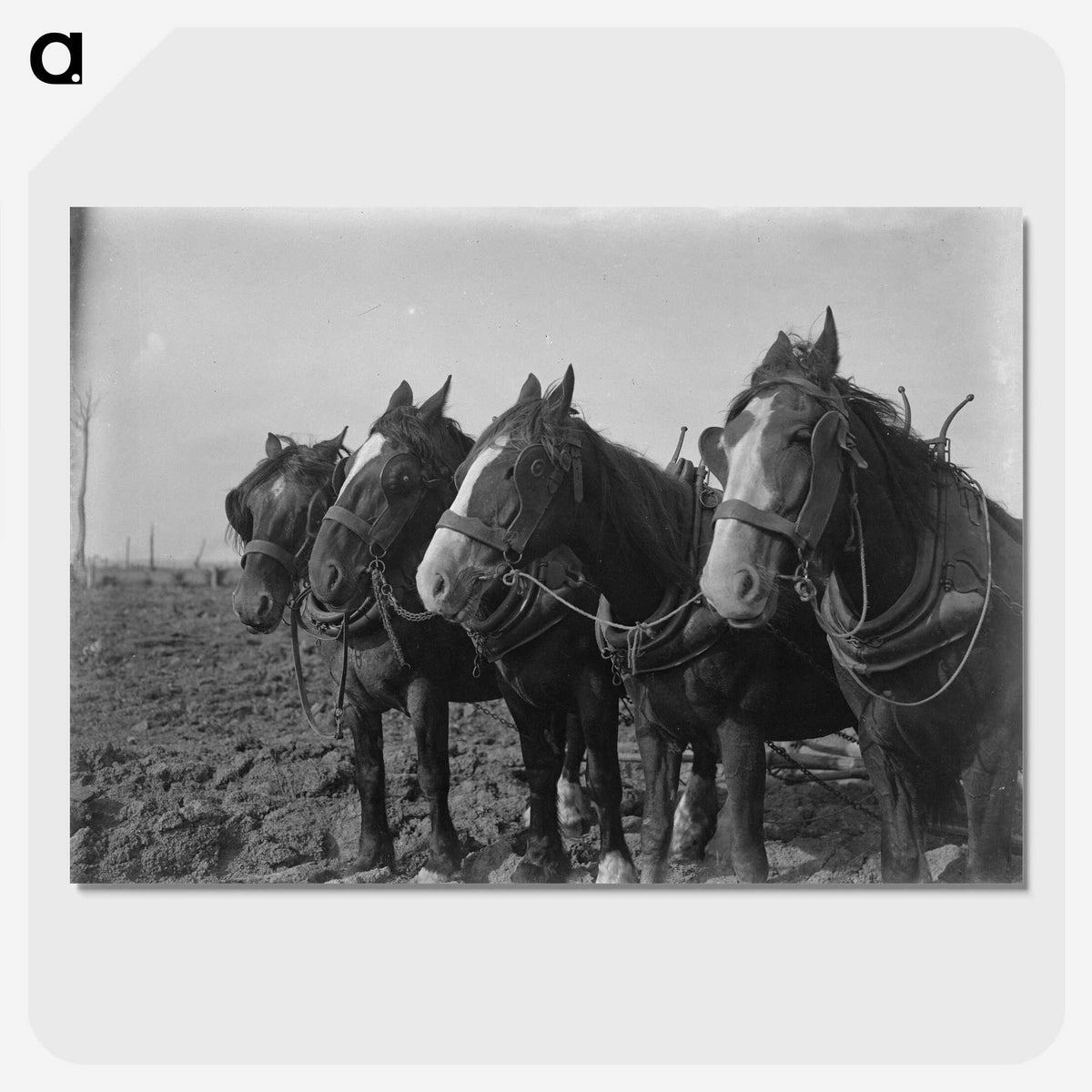 1-15_Frederick-Charles-Brockett_picture-crop