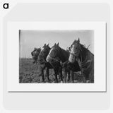 1-15_Frederick-Charles-Brockett_picture