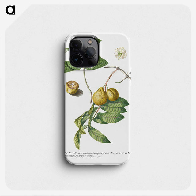 1-15_Georg-Dionysius-Ehret_phone