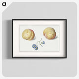 1-15_Georgius-Jacobus-Johannes-van-Os_blk