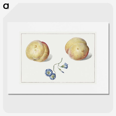 1-15_Georgius-Jacobus-Johannes-van-Os_picture