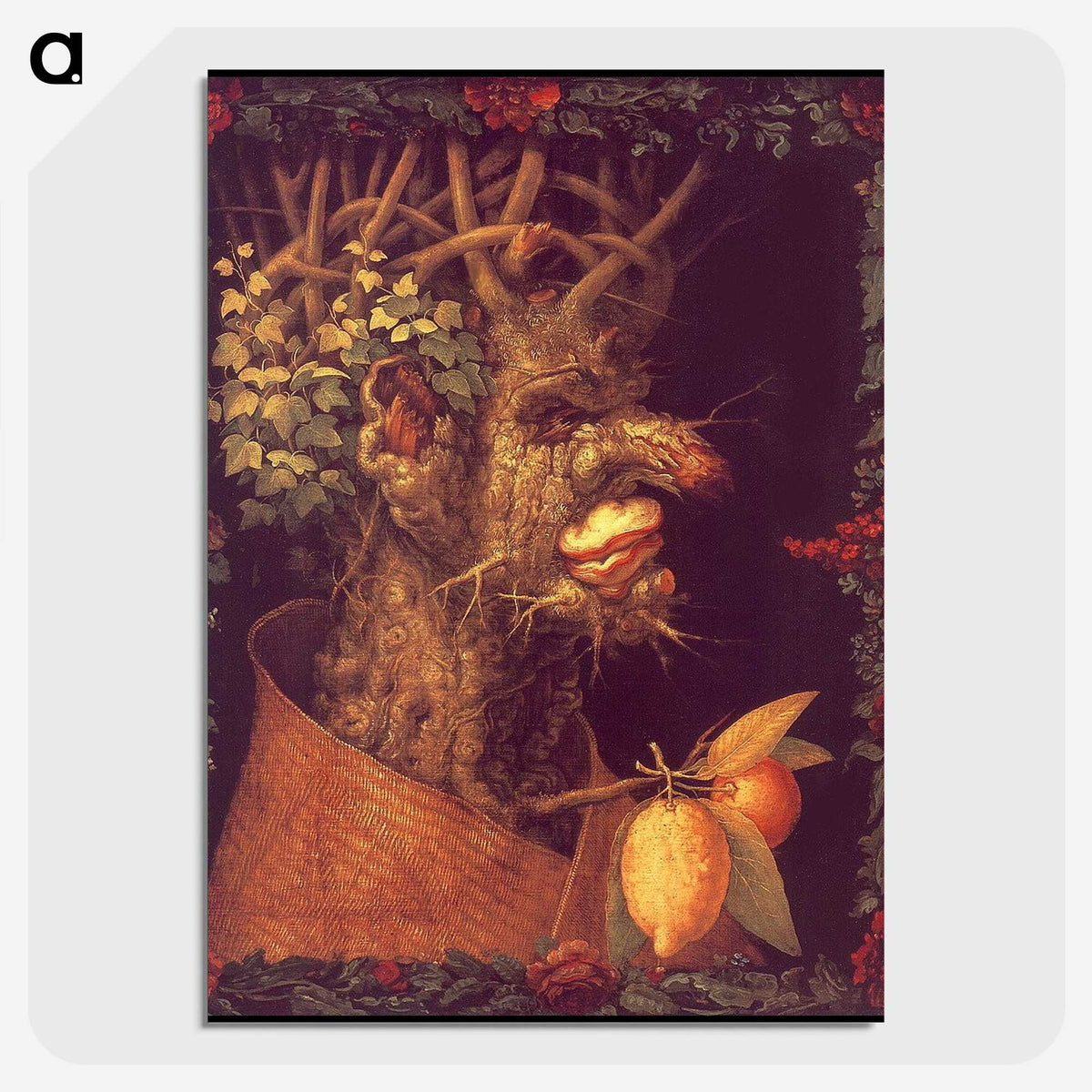 1-15_Giuseppe-Arcimboldo_picture-crop