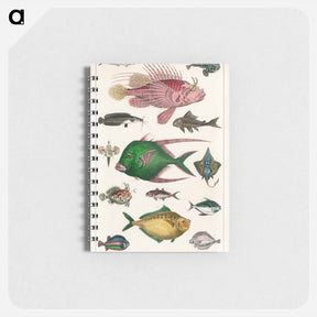 アートメモ帳-Collection of Fishes
 - ゴールドスミスの生き生きとした自然 Memo.