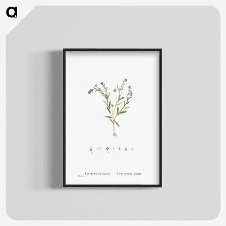 1-15_Histoire-des-Plantes-Grasses_blk-crop