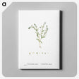 1-15_Histoire-des-Plantes-Grasses_canvas