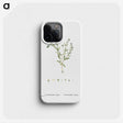 1-15_Histoire-des-Plantes-Grasses_phone