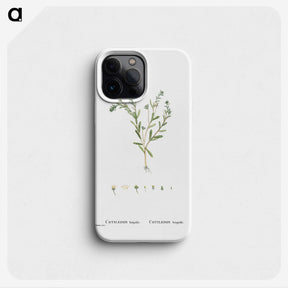 1-15_Histoire-des-Plantes-Grasses_phone