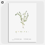 1-15_Histoire-des-Plantes-Grasses_picture-crop