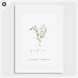 1-15_Histoire-des-Plantes-Grasses_picture