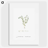1-15_Histoire-des-Plantes-Grasses_picture