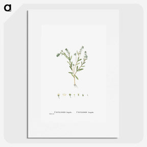 1-15_Histoire-des-Plantes-Grasses_picture