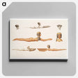 アートパネル-Painted Egyptian Spoons
 - エジプト美術史 Canvas.