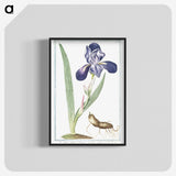 1-15_Hortus-Romanus-Botanical-Plates_blk-crop