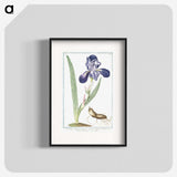 1-15_Hortus-Romanus-Botanical-Plates_blk