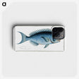 1-15_Ichtyologie-ou-Histoire-naturelle_phone