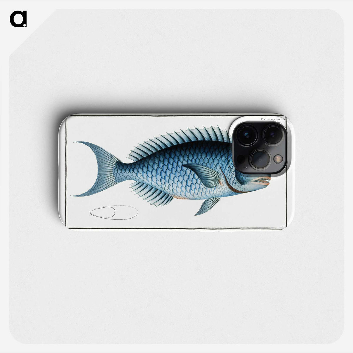 1-15_Ichtyologie-ou-Histoire-naturelle_phone