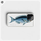 1-15_Ichtyologie-ou-Histoire-naturelle_phone