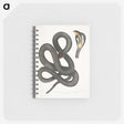 1-15_Indian-Zoology_memo