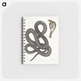 1-15_Indian-Zoology_memo