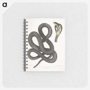 1-15_Indian-Zoology_memo