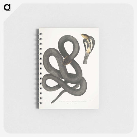 1-15_Indian-Zoology_memo